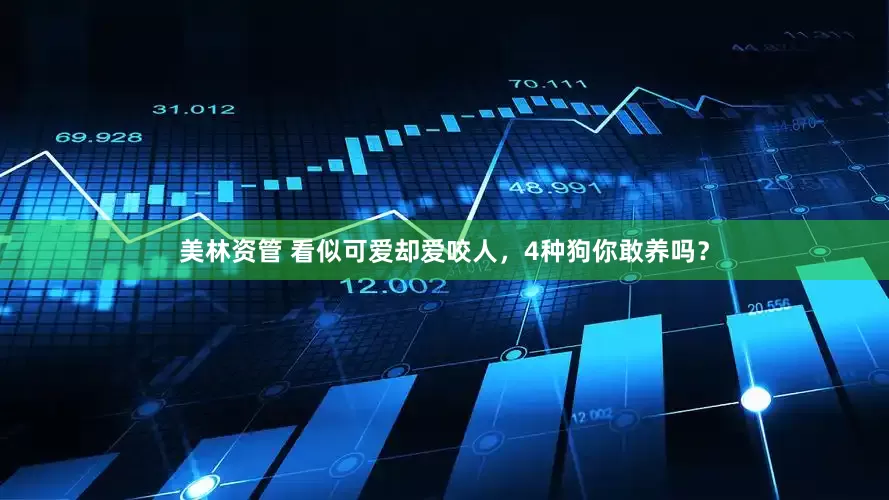 美林资管 看似可爱却爱咬人,4种狗你敢养吗?