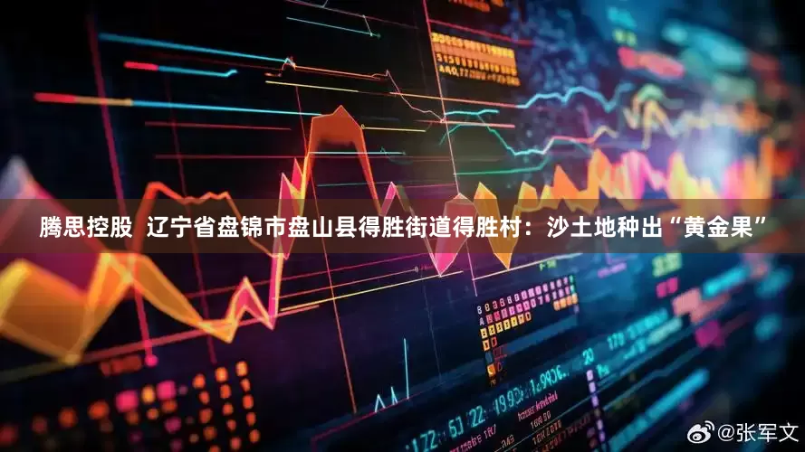 腾思控股  辽宁省盘锦市盘山县得胜街道得胜村：沙土地种出“黄金果”