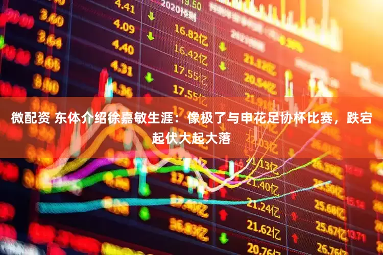微配资 东体介绍徐嘉敏生涯：像极了与申花足协杯比赛，跌宕起伏大起大落