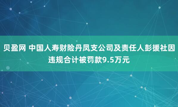 贝盈网 中国人寿财险丹凤支公司及责任人彭援社因违规合计被罚款9.5万元