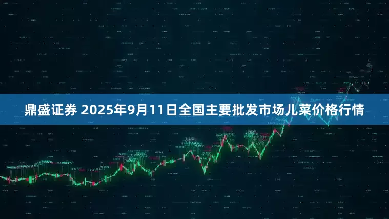 鼎盛证券 2025年9月11日全国主要批发市场儿菜价格行情