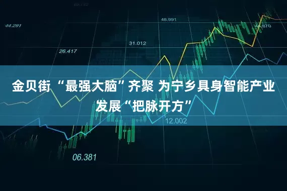 金贝街 “最强大脑”齐聚 为宁乡具身智能产业发展“把脉开方”
