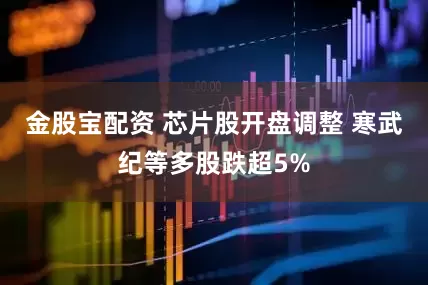 金股宝配资 芯片股开盘调整 寒武纪等多股跌超5%
